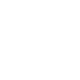 没入型怪盗体験